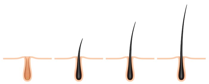 Hair Growth