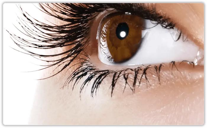 Cosmetic Services
