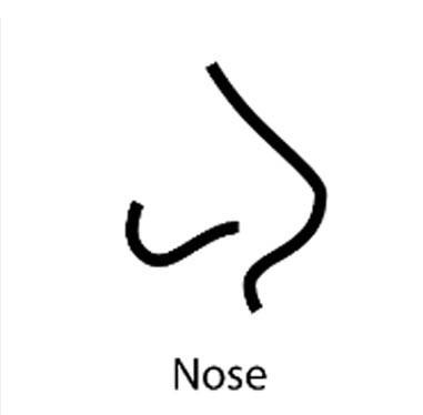 Nose